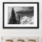 Trees Taller than the Highest Peak by Alex Tonetti on GIANT ART - gray photo illustration