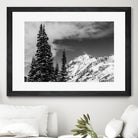 Trees Taller than the Highest Peak by Alex Tonetti on GIANT ART - gray photo illustration