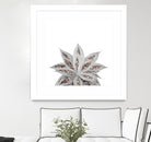 Gray Agave with Rose Gold Glitter #3 #shiny #tropical #decor by Anita & Bella Jantz on GIANT ART - gray photo illustration