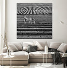 Zebra Field by Dariusz Klimczak on GIANT ART - gray photo illustration