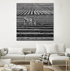 Zebra Field by Dariusz Klimczak on GIANT ART - gray photo illustration