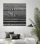 Zebra Field by Dariusz Klimczak on GIANT ART - gray photo illustration