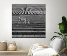 Zebra Field by Dariusz Klimczak on GIANT ART - gray photo illustration