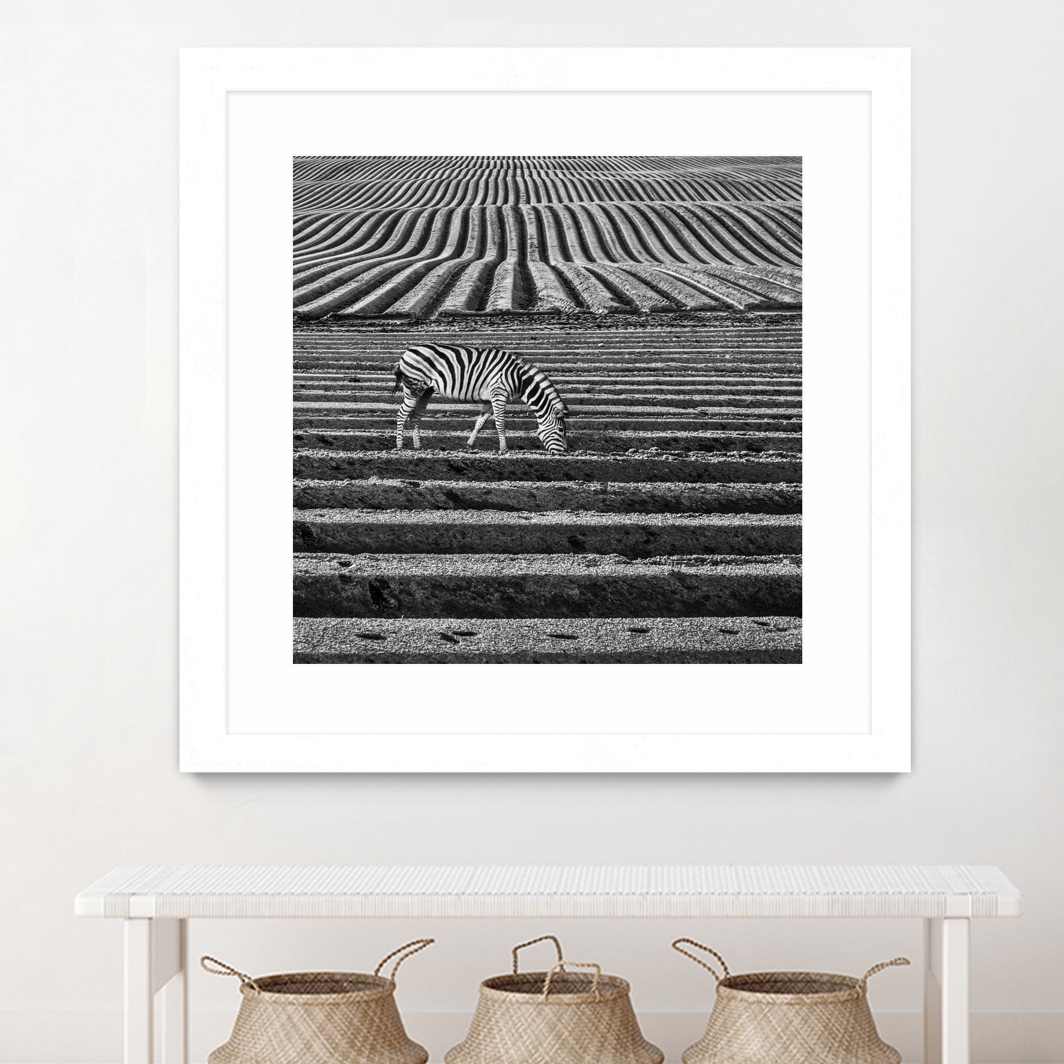 Zebra Field by Dariusz Klimczak on GIANT ART - gray photo illustration