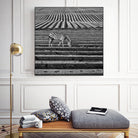 Zebra Field by Dariusz Klimczak on GIANT ART - gray photo illustration