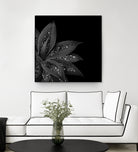 Agave Finesse Glitter Glam #7 #tropical #decor #art by Anita & Bella Jantz on GIANT ART - black photo illustration