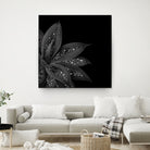 Agave Finesse Glitter Glam #7 #tropical #decor #art by Anita & Bella Jantz on GIANT ART - black photo illustration