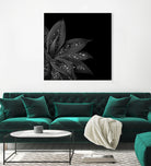 Agave Finesse Glitter Glam #7 #tropical #decor #art by Anita & Bella Jantz on GIANT ART - black photo illustration