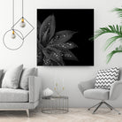 Agave Finesse Glitter Glam #7 #tropical #decor #art by Anita & Bella Jantz on GIANT ART - black photo illustration