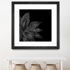 Agave Finesse Glitter Glam #7 #tropical #decor #art by Anita & Bella Jantz on GIANT ART - black photo illustration