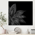 Agave Finesse Glitter Glam #7 #tropical #decor #art by Anita & Bella Jantz on GIANT ART - black photo illustration