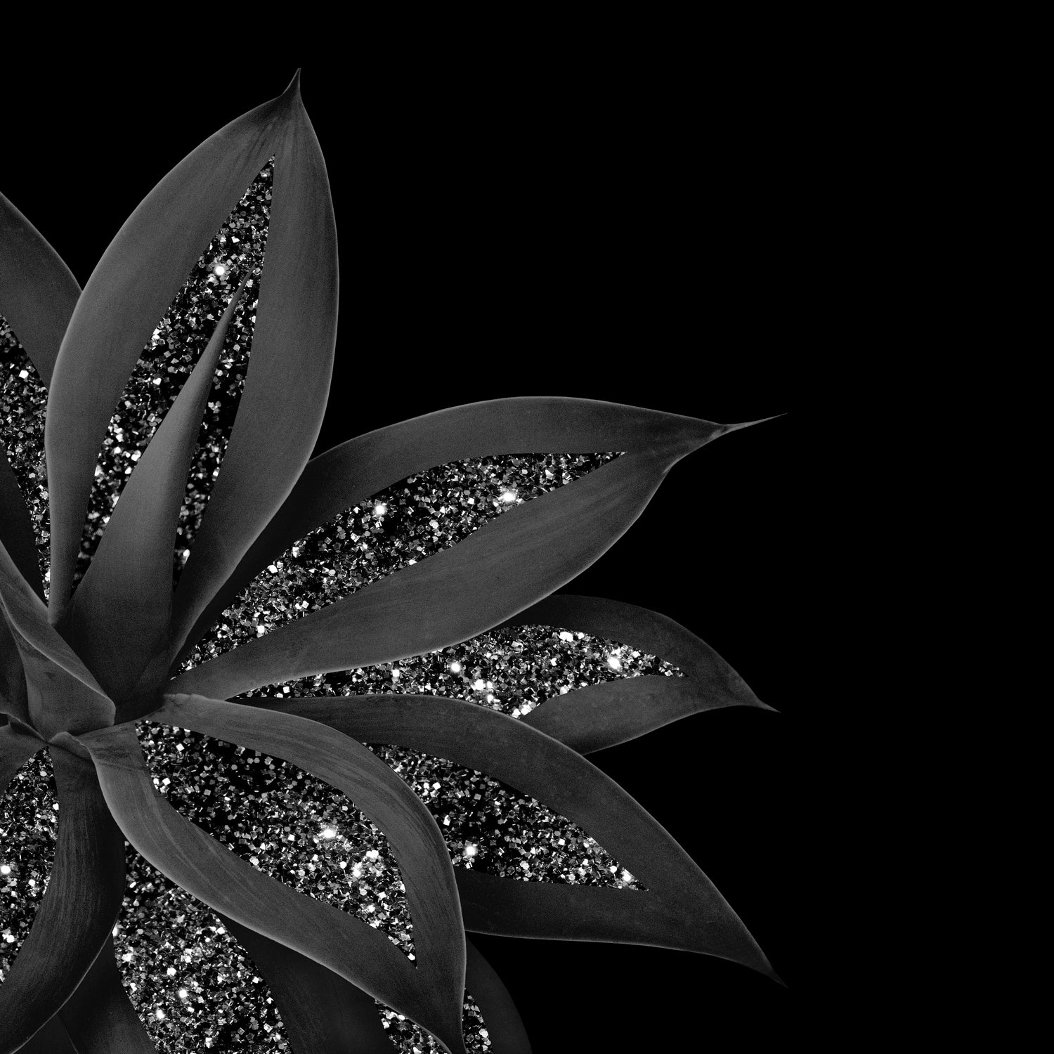 Agave Finesse Glitter Glam #7 #tropical #decor #art by Anita & Bella Jantz on GIANT ART - black photo illustration