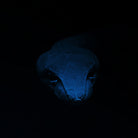 Night snake by Anton Kalinichev on GIANT ART - blue processing/programming