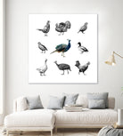 Bird Farm by Martina Dirce Carcano on GIANT ART - white digital painting