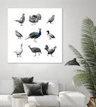 Bird Farm by Martina Dirce Carcano on GIANT ART - white digital painting