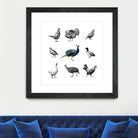 Bird Farm by Martina Dirce Carcano on GIANT ART - white digital painting