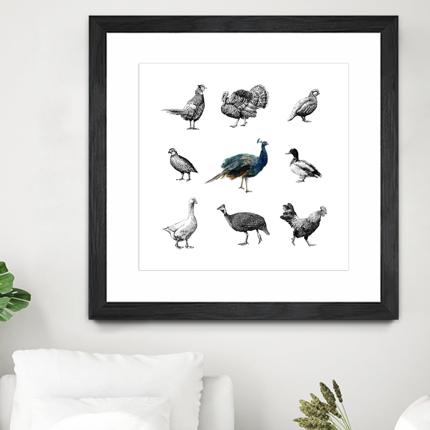 Bird Farm by Martina Dirce Carcano on GIANT ART - white digital painting