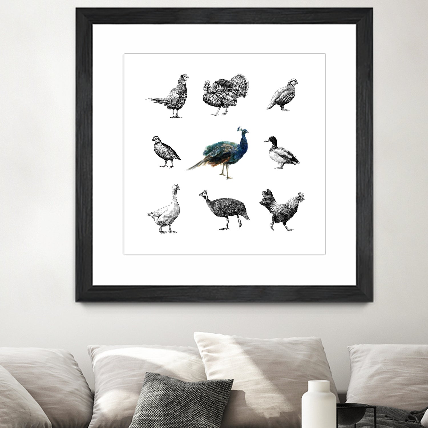 Bird Farm by Martina Dirce Carcano on GIANT ART - white digital painting