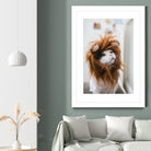 Cat lion by Jovana Rikalo on GIANT ART - orange photo manipulation