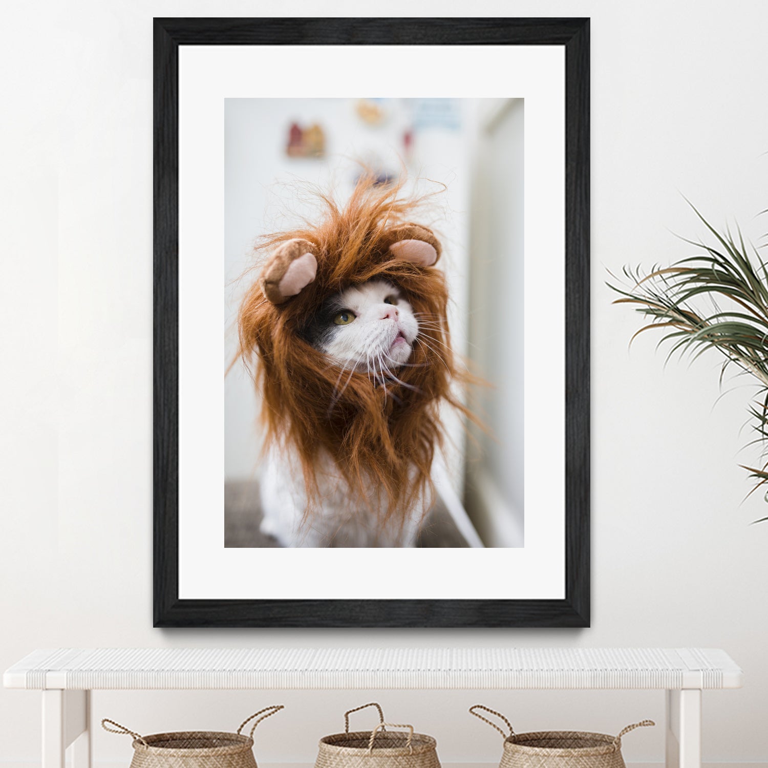 Cat lion by Jovana Rikalo on GIANT ART - orange photo manipulation