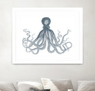 OCTOPUS GREY by Thomas Fernez on GIANT ART - gray digital drawing