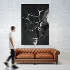 elk and rabbit by Laura Graves on GIANT ART - black digital painting