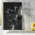 elk and rabbit by Laura Graves on GIANT ART - black digital painting