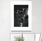 elk and rabbit by Laura Graves on GIANT ART - black digital painting