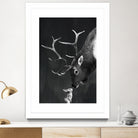 elk and rabbit by Laura Graves on GIANT ART - black digital painting