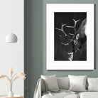 elk and rabbit by Laura Graves on GIANT ART - black digital painting