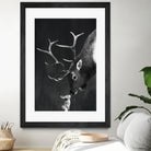 elk and rabbit by Laura Graves on GIANT ART - black digital painting