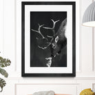 elk and rabbit by Laura Graves on GIANT ART - black digital painting