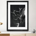 elk and rabbit by Laura Graves on GIANT ART - black digital painting