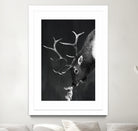 elk and rabbit by Laura Graves on GIANT ART - black digital painting