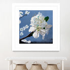 Spring Blossoms by Matthew Holden Bates on GIANT ART - white mixed media