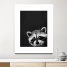 raccoon---I-m-not-sleepy- by Laura Graves on GIANT ART - black photo illustration