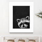 raccoon---I-m-not-sleepy- by Laura Graves on GIANT ART - black photo illustration