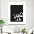 raccoon---I-m-not-sleepy- by Laura Graves on GIANT ART - black photo illustration