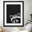 raccoon---I-m-not-sleepy- by Laura Graves on GIANT ART - black photo illustration