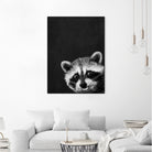 raccoon---I-m-not-sleepy- by Laura Graves on GIANT ART - black photo illustration