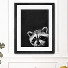 raccoon---I-m-not-sleepy- by Laura Graves on GIANT ART - black photo illustration