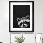 raccoon---I-m-not-sleepy- by Laura Graves on GIANT ART - black photo illustration