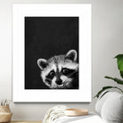 raccoon---I-m-not-sleepy- by Laura Graves on GIANT ART - black photo illustration