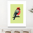 Eurasian bullfinch by Mikhail Vedernikov on GIANT ART - orange mixed media