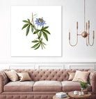 Vintage Blue Passionflower Botanical Illustration by Raul Andre Petrasanta on GIANT ART - blue mixed media