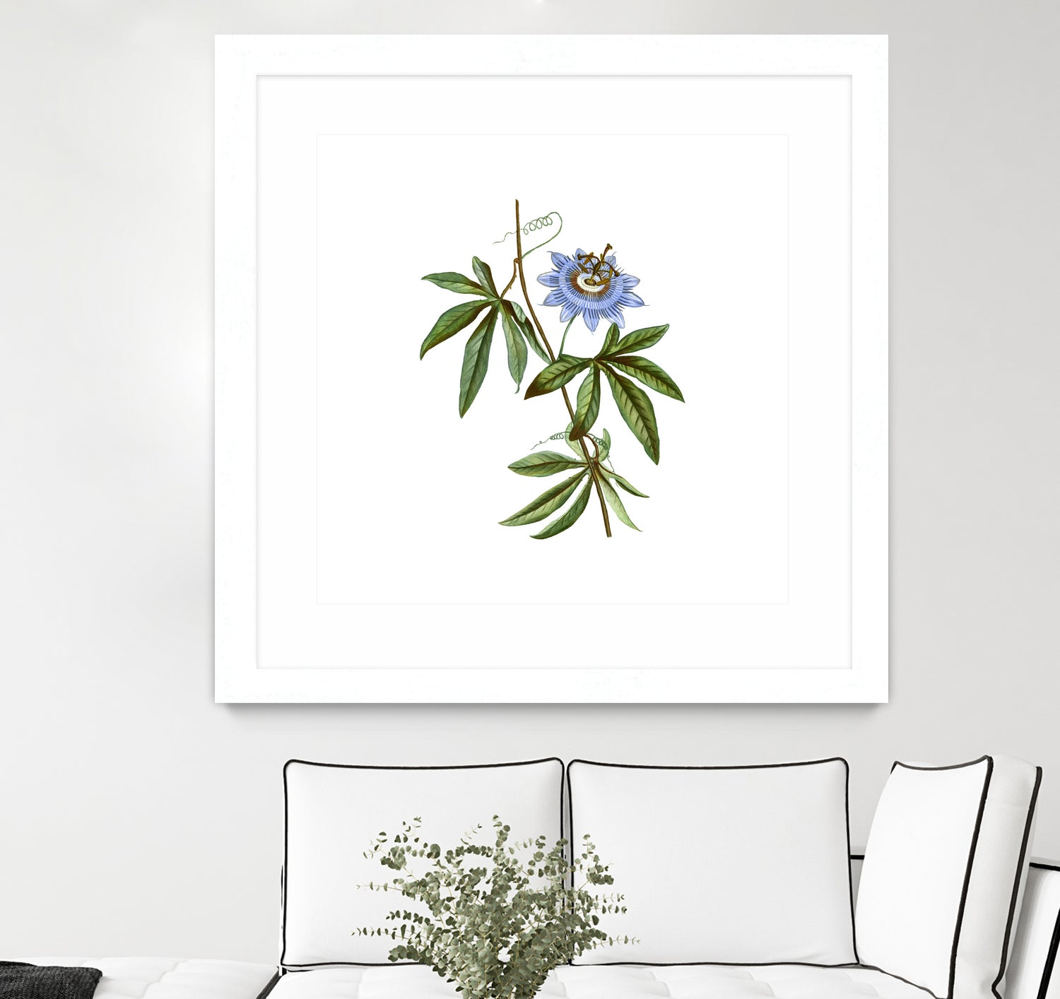 Vintage Blue Passionflower Botanical Illustration by Raul Andre Petrasanta on GIANT ART - blue mixed media