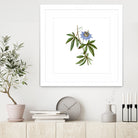 Vintage Blue Passionflower Botanical Illustration by Raul Andre Petrasanta on GIANT ART - blue mixed media