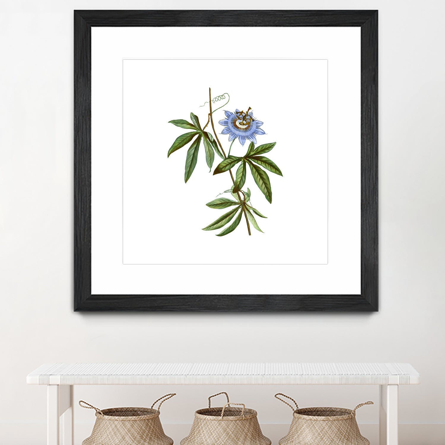 Vintage Blue Passionflower Botanical Illustration by Raul Andre Petrasanta on GIANT ART - blue mixed media