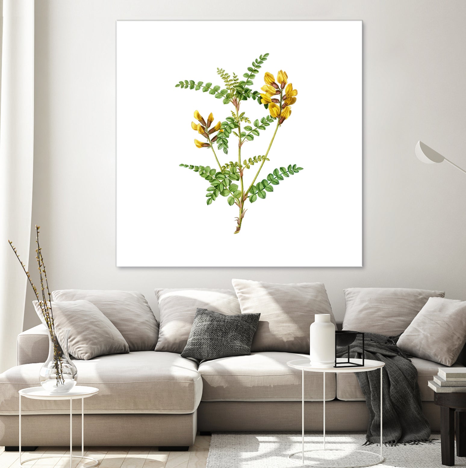 Vintage Calophaca Wolgarica Botanical Illustration by Raul Andre Petrasanta on GIANT ART - yellow mixed media