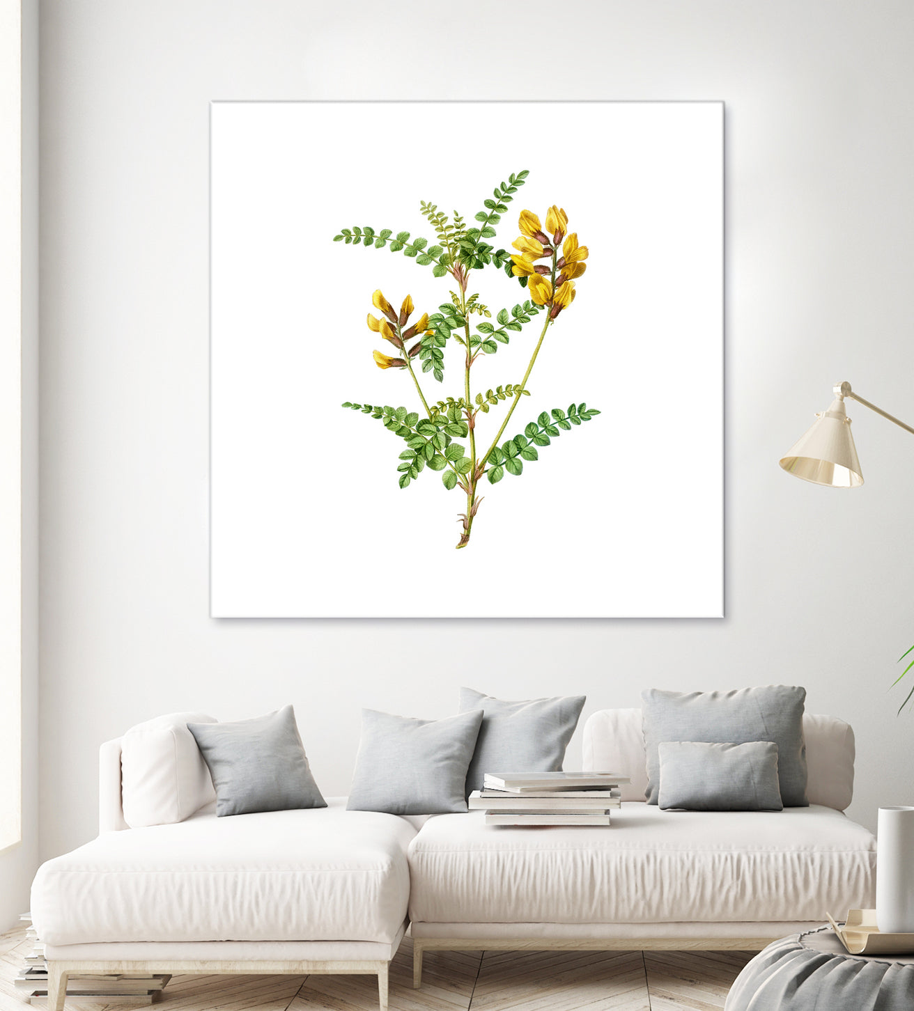 Vintage Calophaca Wolgarica Botanical Illustration by Raul Andre Petrasanta on GIANT ART - yellow mixed media